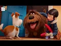 The Secret Life of Pets Max this is Duke CLIP