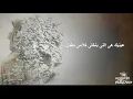 زى الشمس / رامى جمال