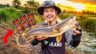 ผจญภัยออกหมายตกปลาช่อน1วัน!! ประธานกับเซียนดริ้งจะได้กี่ตัว?!! (PRATHAN)