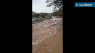 حشان ال مطلق ياقيلن وين ننا من جيتك بده دندنها