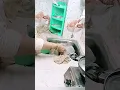 subhanallah #allahuakbar☝🏻❤️🕋❤️#viral short #viral feed #islamic short video #hadees