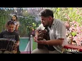 Luna cautiva – Carafea | Sesiones ¡FAlklore!