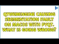 QtWebEngine Causing Segmentation Fault on MacOS with PyQT What is going wrong