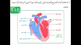 الصف الثامن ماده العلوم الدرس الثالث عشر مما يتركب الجهاز الدوري 