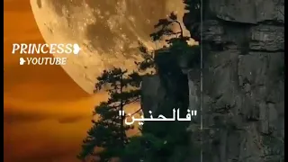 همسات دينيه    دندنها