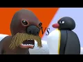 Download Lagu Pingu Vs The Giant Walrus (The Battle For Family)