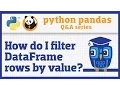 How do I filter rows of a pandas DataFrame by column value
