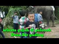 Download Lagu Wisata gajah.  Jalur 20 Desa air gading. Muara padang