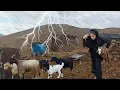 Download Lagu 🌧The Hard Life of Nomads on a Rainy Day: The Hard Life of Nomad Girls in the Mountains