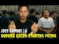 Download Lagu KOLEKSI TERBARU ! BURUNG GACORAN FULL MATERI TAMPIL PRIMA GAK PAKE LAMA