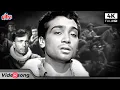 Download Lagu 4K | हो के मजबूर मुझे उसने भुलाया होगा क्लासिक हिंदी गीत | Hoke Majboor Mujhe Usne Bhulaya Song