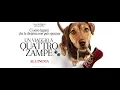 Video di Un Viaggio a Quattro Zampe - Trailer italiano | Dal 14 marzo al cinema