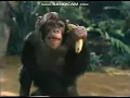 Verizon Wireless Can You Hear Me Now Commercial 2003