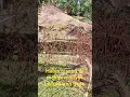 Download Lagu jangkauan luas