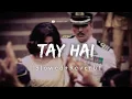 Download Lagu Tay Hai - (slowed+reverb) | Rustom | Ankit Tiwari | Disney lofi music