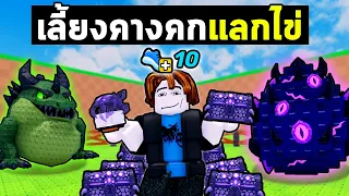 เริ่มต้นใหม่ด้วยการ"เลี้ยงคางคก" ในแมพขโมยไข่..! EP.4 | Roblox Steal An Egg