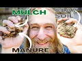 How do I Plant In TOUGH CLAY Soil 6 Tips Tricks