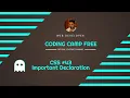 CSS Important Declaration