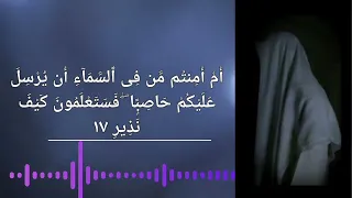 سورة الملك بصوت القارئ عمر بن ضياء الدين Omar Bin Diaa Al Din Surah Al Mulk القرآن الكريم 