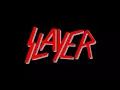 Slayer - Angel of Death (Audio)
