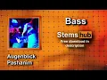 Augenblick - Pashanim [Bass] * HQ Download