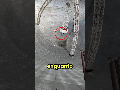 Ele Cometeu Um Grande Erro! 😱🤯