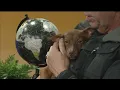 Friday Pets 1-31-25