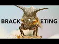 How to focus BRACKETING with a MANUAL lens