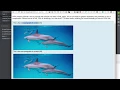 06 web components imports