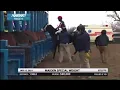 Aqueduct races summary January