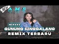 Lagu LAGU JOGET MINANG - GUNUNG SINGGALANG REMIX TERBARU 2024