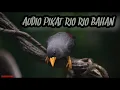 Download Lagu AUDIO PIKAT BURUNG RIO RIO ,, YANG PUNYA RIO RIO BAHAN MONGGO DI TEST!! AUTO NYAUT GACOR