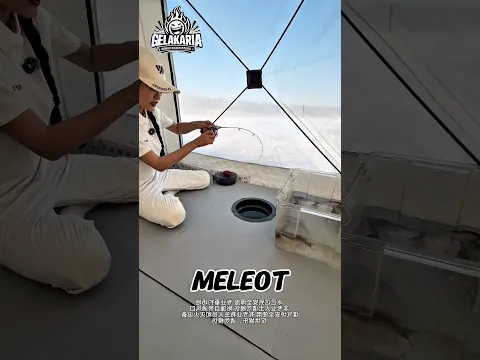 Ada Sesuatu yang Sangat Besar di Bawah Es… Tapi Apa Itu?!