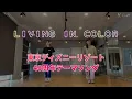 【Living in color】で踊る運動会•体育ダンス！【文化祭　体育祭】など学校イベントに！(東京ディズニーリゾート40周年テーマソング)