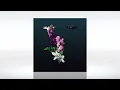 Track of the Day (24/06/2021) ~ Avoure - Aura (Grigoré Remix) ~ [This Never Happened]
