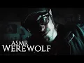 Download Lagu Werewolf ASMR (First Change Aftercare \u0026 Personal Attention Roleplay)