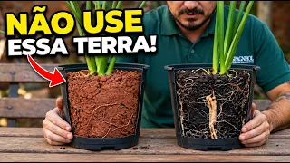 TERRA VEGETAL e SUBSTRATO | Entenda a diferença e qual a MELHOR para CULTIVAR