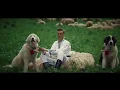 Download Lagu Ionut Nemes - Cainii mei de Bucovina 🐩 (Official Video)