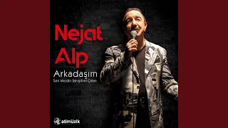 Arkadaşım 