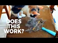 Does it work Uproot Clean Pet Remover Review