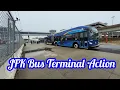 NYC Buses Quick Bus and AirTrain Action at JFK Airport Terminal