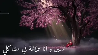 سنين و أنا عايشة في مشاكلي        دندنها