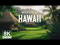 Download Lagu Wonders of Hawaii - The Most Amazing Places in Hawaii - Travel Video 4K