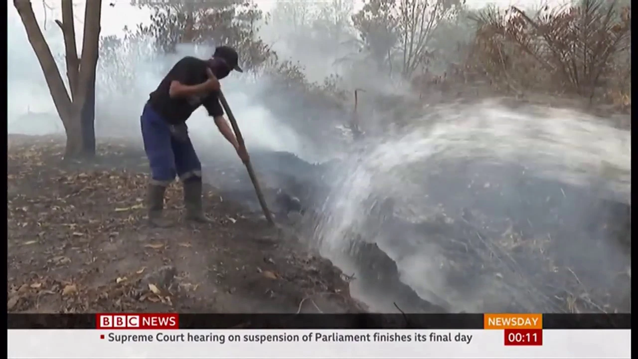 Fires Causing Poisonous Smog