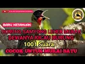 Pancingan / Masteran Burung Samyong 1001 Suara, Sangat Jitu untuk Burung Murai Batu dijamin Nyaut