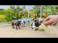 Download Lagu Wadidau ‼️ Diorama Paling Dicari Sapi, Kerbau \u0026 Traktor | Kisah Menakjubkan Koleksi 🐮 | Falak Toys MP3
