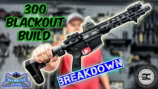 PSA 300 blackout build Breakdown