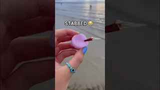 LOOKING FOR FIDGETS at the BEACH weird amazon fidgets