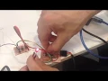 Asynchronous Serial Communication