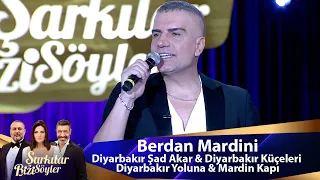 berdan mardini diyarbak r ad akar u0026 diyarbak r k eleri u0026 diyarbak r yoluna u0026 mardin kap 